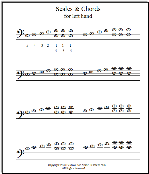 Beginner scales in the left hand for correct shaping